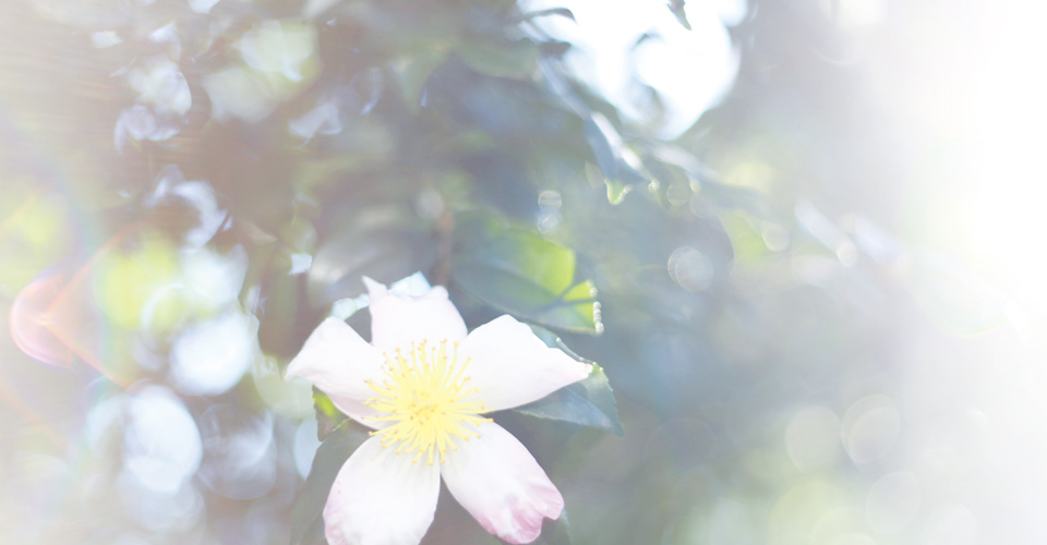 ダンス工房ヒロノ　２０２６