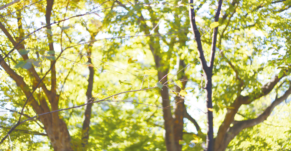 ダンス工房ヒロノ　２０２６