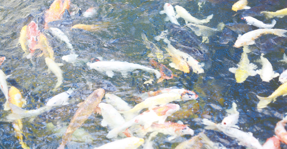 ダンス工房ヒロノ　２０２６